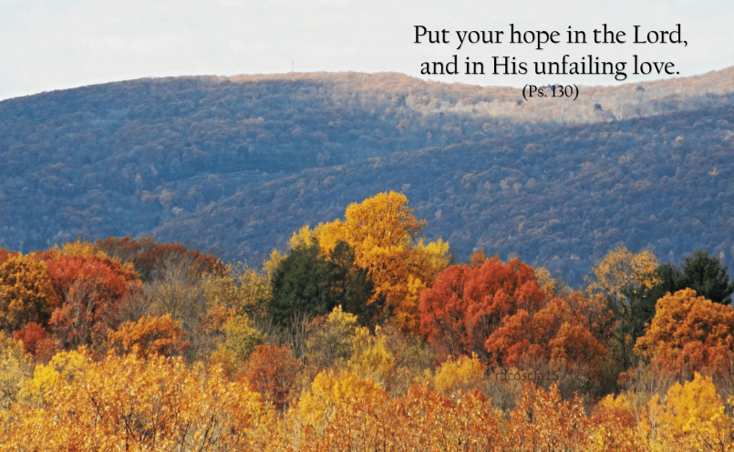 Hope in the Lord