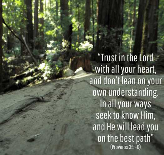 trust in the Lord