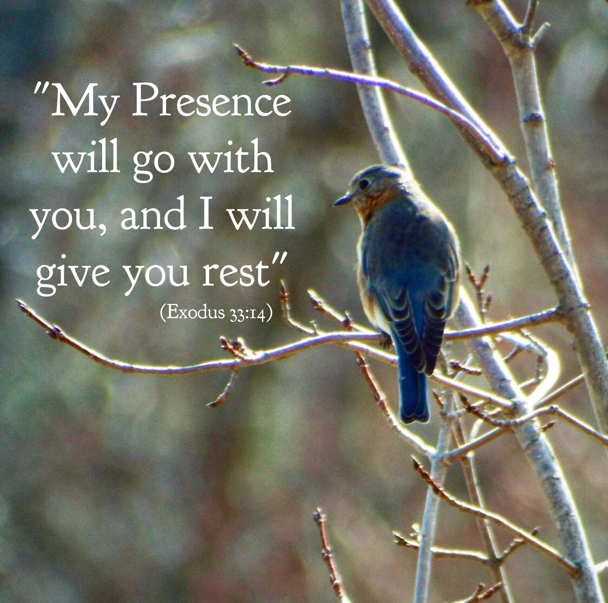 Rest Rise Up Rest Up – Equip Your Spirit